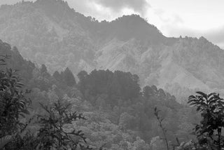 Our Coffee Blend, Factory Coffee