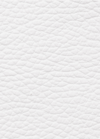 White Low-Top Sneaker